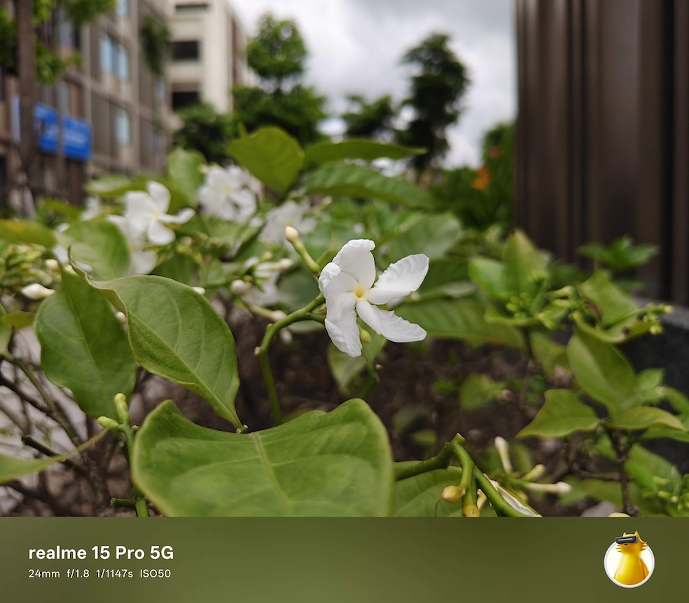 Một số ảnh chụp thực tế từ camera của realme 15 Pro 5G: