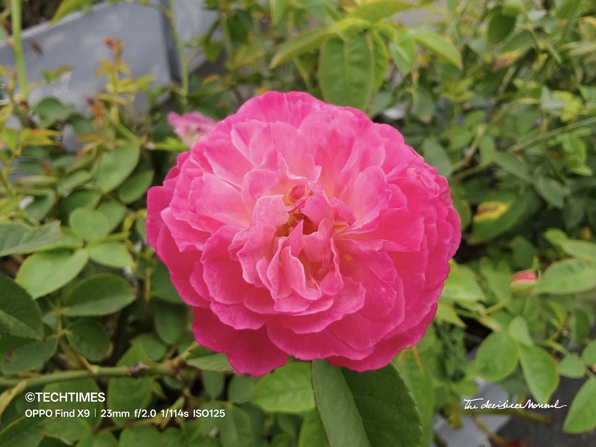 OPPO Find X9 Titan TechTimes 4 TechWire Vietnam Đánh giá nhanh OPPO Find X9: Flagship cân bằng hoàn hảo giữa sức mạnh và phong cách