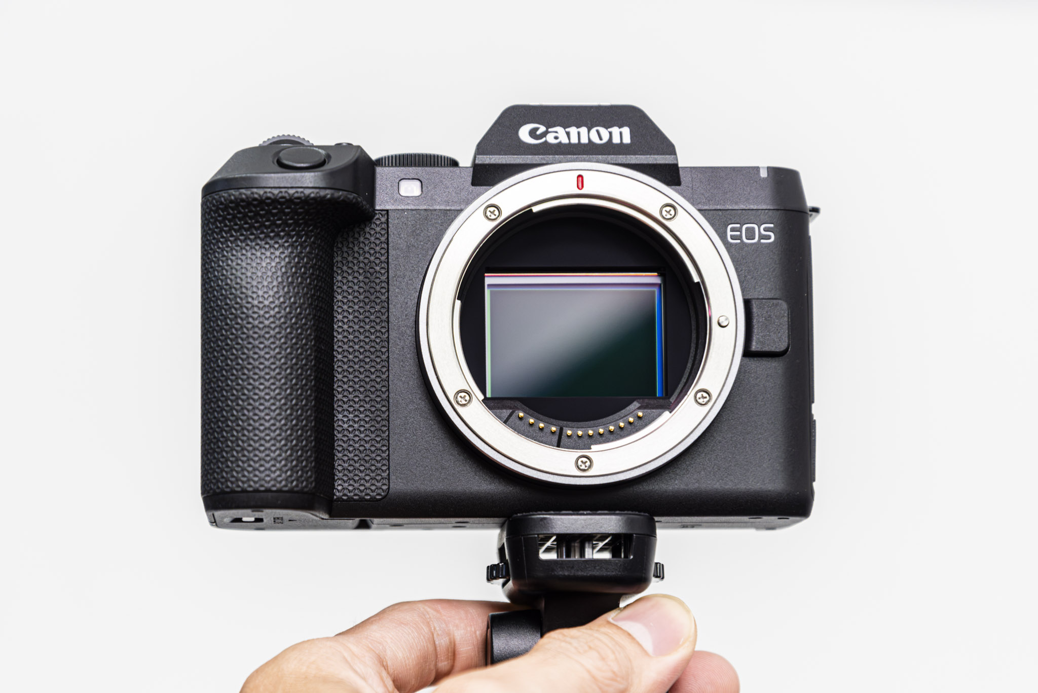 canon eos r8 mark ii techwire 16 TechWire Vietnam Canon EOS R8 Mark II: Thêm chống rung IBIS 7.5 stop và cần joystick, giá gần 45 triệu đồng